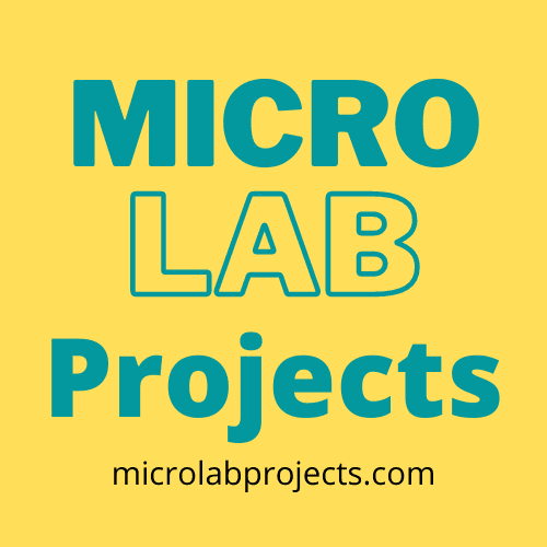 micro lab project